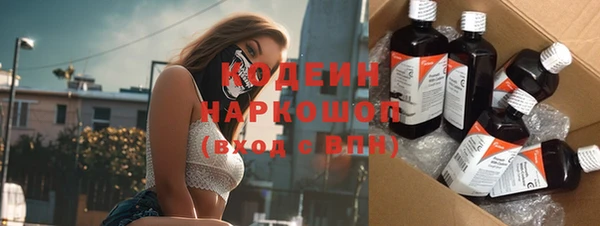 ГАЛЛЮЦИНОГЕННЫЕ ГРИБЫ Гусь-Хрустальный
