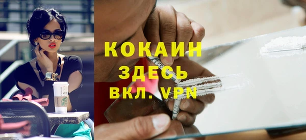 ГАЛЛЮЦИНОГЕННЫЕ ГРИБЫ Гусь-Хрустальный