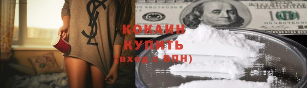 ГАЛЛЮЦИНОГЕННЫЕ ГРИБЫ Гусь-Хрустальный