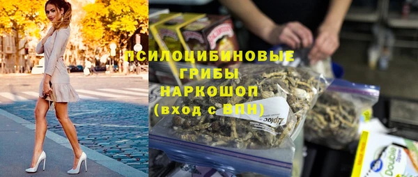 ГАЛЛЮЦИНОГЕННЫЕ ГРИБЫ Гусь-Хрустальный