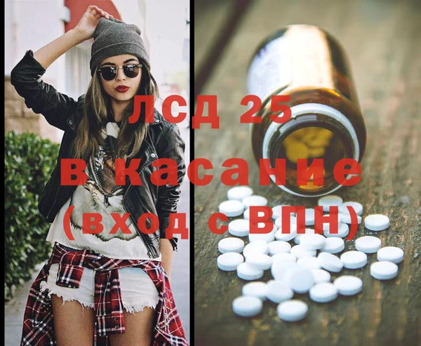 ГАЛЛЮЦИНОГЕННЫЕ ГРИБЫ Гусь-Хрустальный