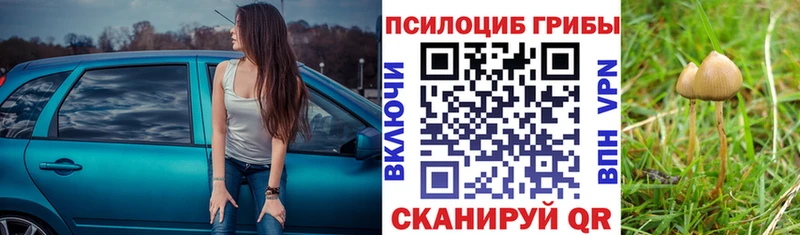 Купить закладки  Нытва  Псилоцибиновые грибы ЛСД 